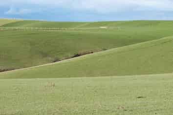 1131 Blackhill Road, Gore