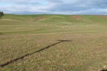 1131 Blackhill Road, Gore