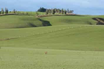 1131 Blackhill Road, Gore