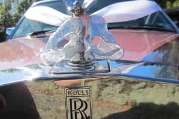 Special Occasions Business For Sale