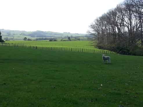 1513A Kaiaua Road, Mangatangi