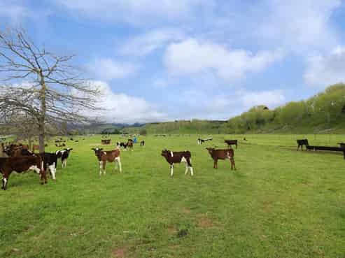 74 Karewarewa Road, Rangiwahia