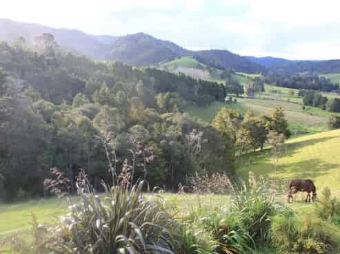 397 Pigs Head Road, Hukerenui and Surrounds