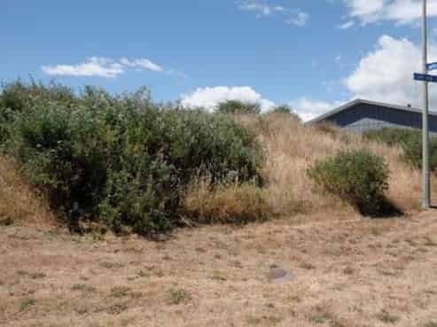 7 Sand Dune Grove, Waikawa Beach