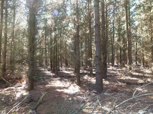 611 Windwhistle Road, Windwhistle