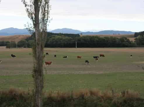 28 Totara Valley Road, Pleasant Point