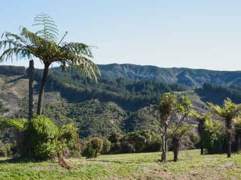 78B Silverstream Falls Row, Whenuakite