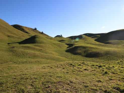 1901 Tutukau Road, Wairakei and Surrounds