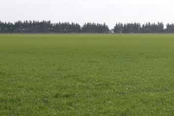 45 Tiwai Road, Bluff