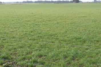 45 Tiwai Road, Bluff