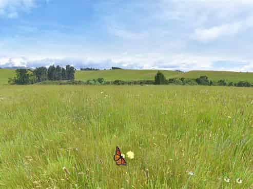 171 Mcleods Road, Sefton