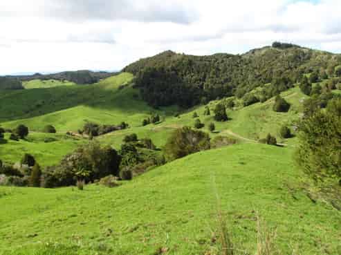 87 Buchanan Road, Herekino