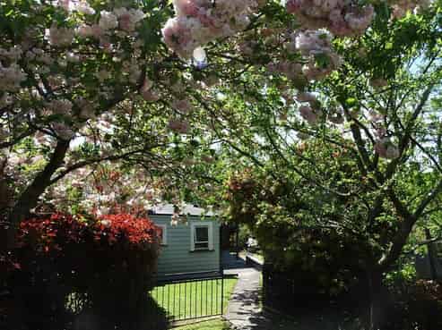 356 Waihapa Road, Eltham