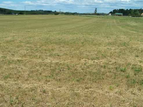 182 Rocklands Road, Totara