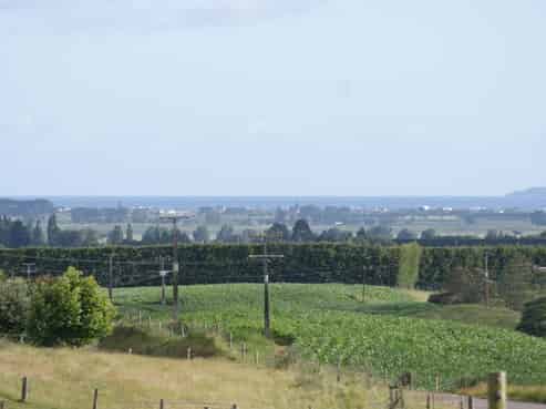 130 Pongakawa Bush Road, Pongakawa