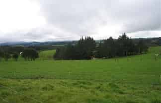 60 Gomez Road, Hikurangi