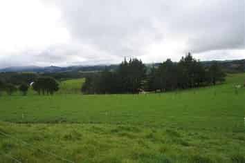 60 Gomez Road, Hikurangi