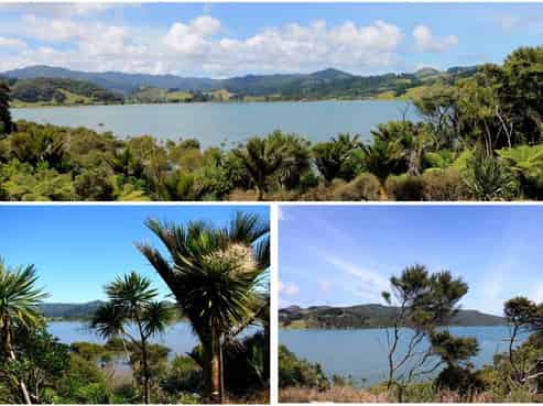 2521 Colville Road, Coromandel Coast