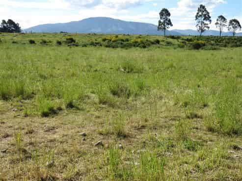 263 Foothills Road, Okuku