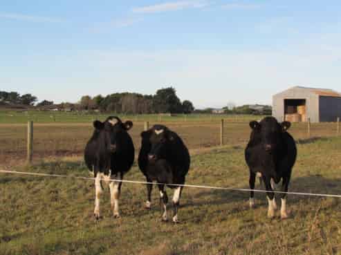 97A Thornton Beach Road, Thornton