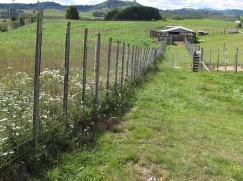 76 Tuhingamata Road, Oruanui