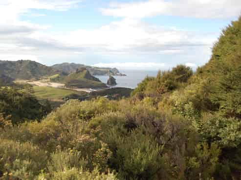 131 Aotea Road, Great Barrier Island