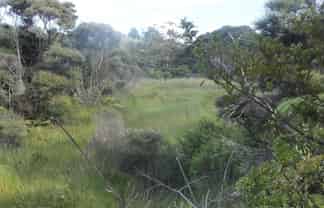 Transfer T x 2, Taupaki