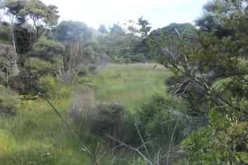 Transfer T x 2, Taupaki