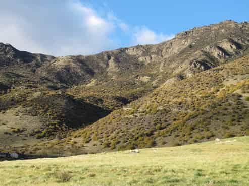 109 Gibbston Back Road, Gibbston