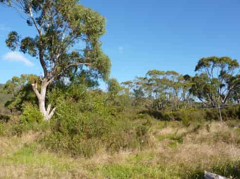 2/133 Powerhouse Road, Denniston