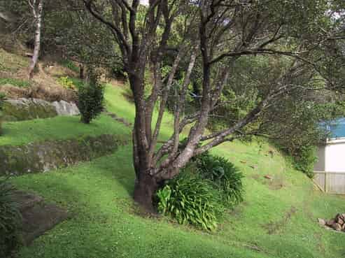 56 Mairangi Road, Wadestown