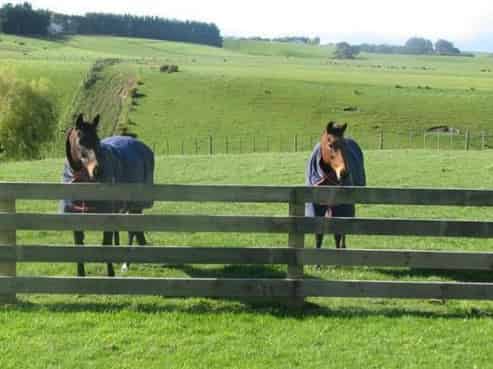 218 Taipo Road, Rongotea