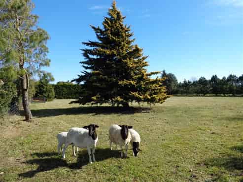 53 McLaughlins Road, Darfield