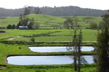 258 Otaua Road, Kaikohe