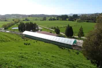 258 Otaua Road, Kaikohe