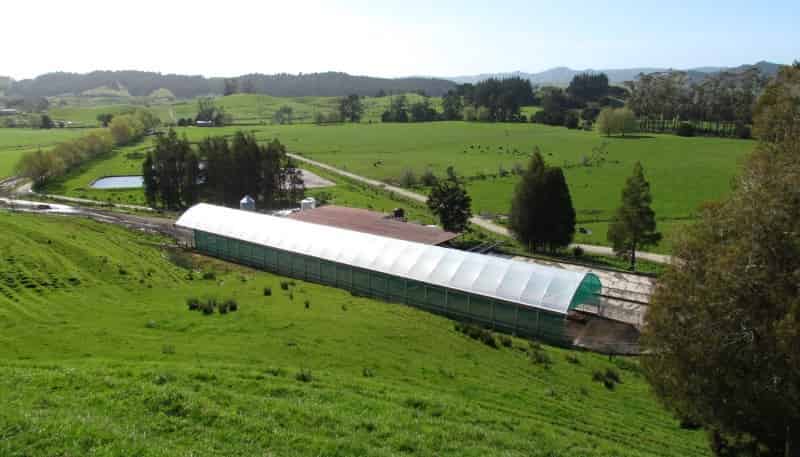 258 Otaua Road, Kaikohe