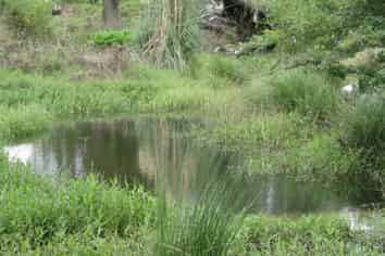  Graham Road, Kaikohe