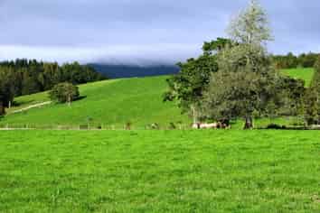  Graham Road, Kaikohe