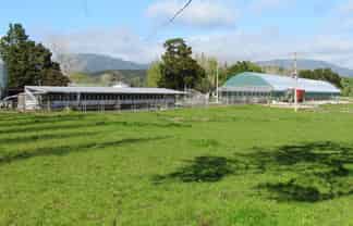  Graham Road, Kaikohe