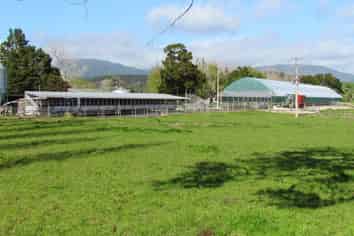  Graham Road, Kaikohe