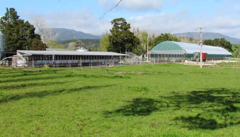  Graham Road, Kaikohe