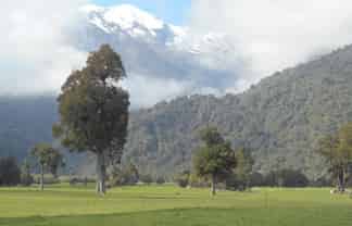 1861 Whataroa Highway, Whataroa