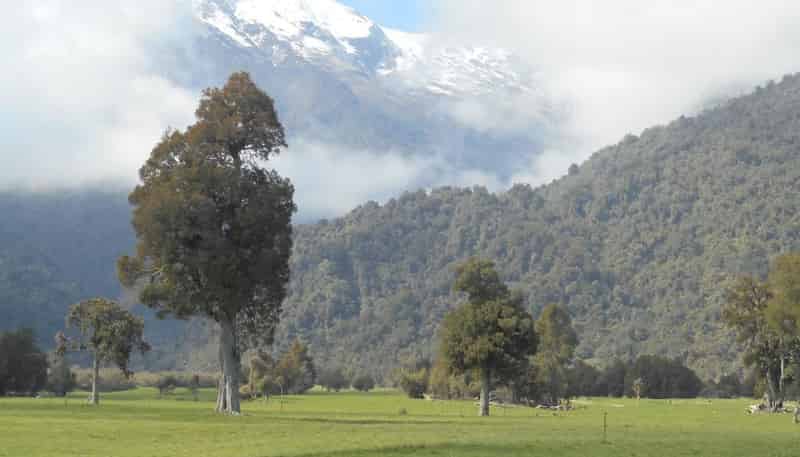 1861 Whataroa Highway, Whataroa