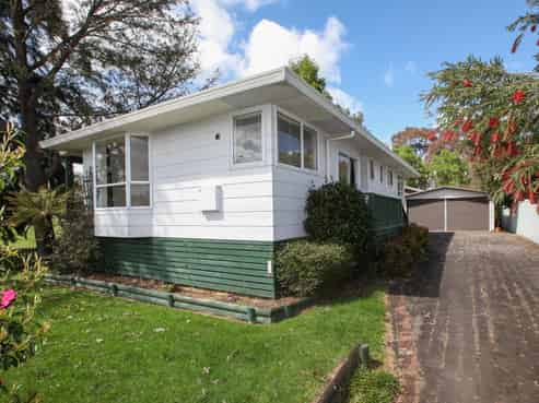 39 Hibiscus Avenue, Hamilton Lake