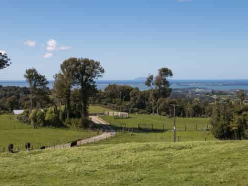 1039E Work Road, Whakamarama