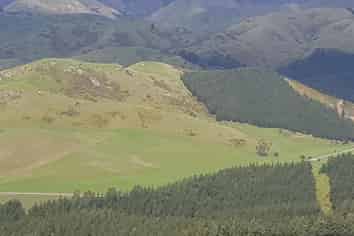  Barrack Road, Blenheim Central