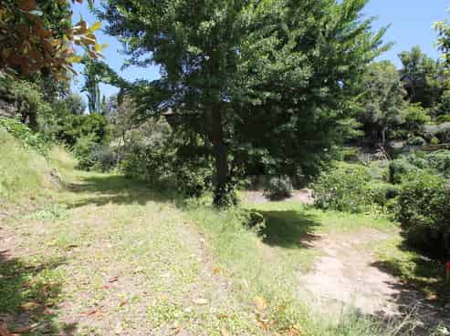 7B Burlington Road, Napier Hill