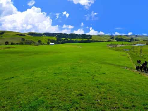 949 Te Awa Road, Central Hawkes Bay Country