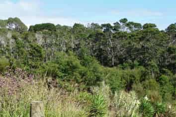 27 Richmond Road, Mangonui