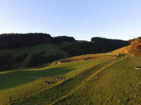 878 Waikaretu Valley Road, Glen Murray